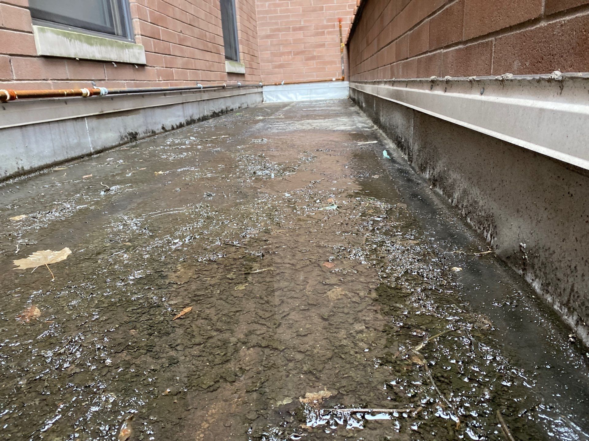 Aluminum Coating for Flat Roofs: What Chicago Homeowners Should Know