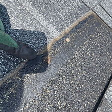 Chicago-Commercial-Roof-Repairs-Addressing-Missing-Shingles 1