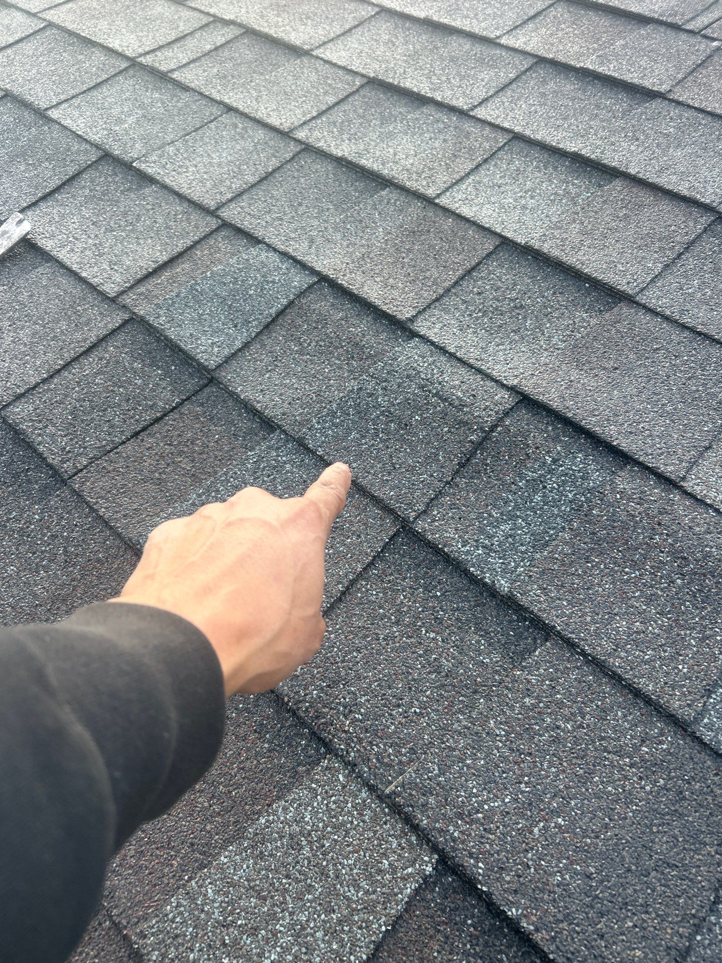 Chicago Shingle Roof Repair: Fixing Buckling Plywood Seams for a Durable Roof