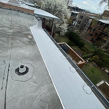 Flat-Roof-Leaks-Along-Gutter-Area-in-Chicago-How-to-Fix-and-Prevent-Damage 0