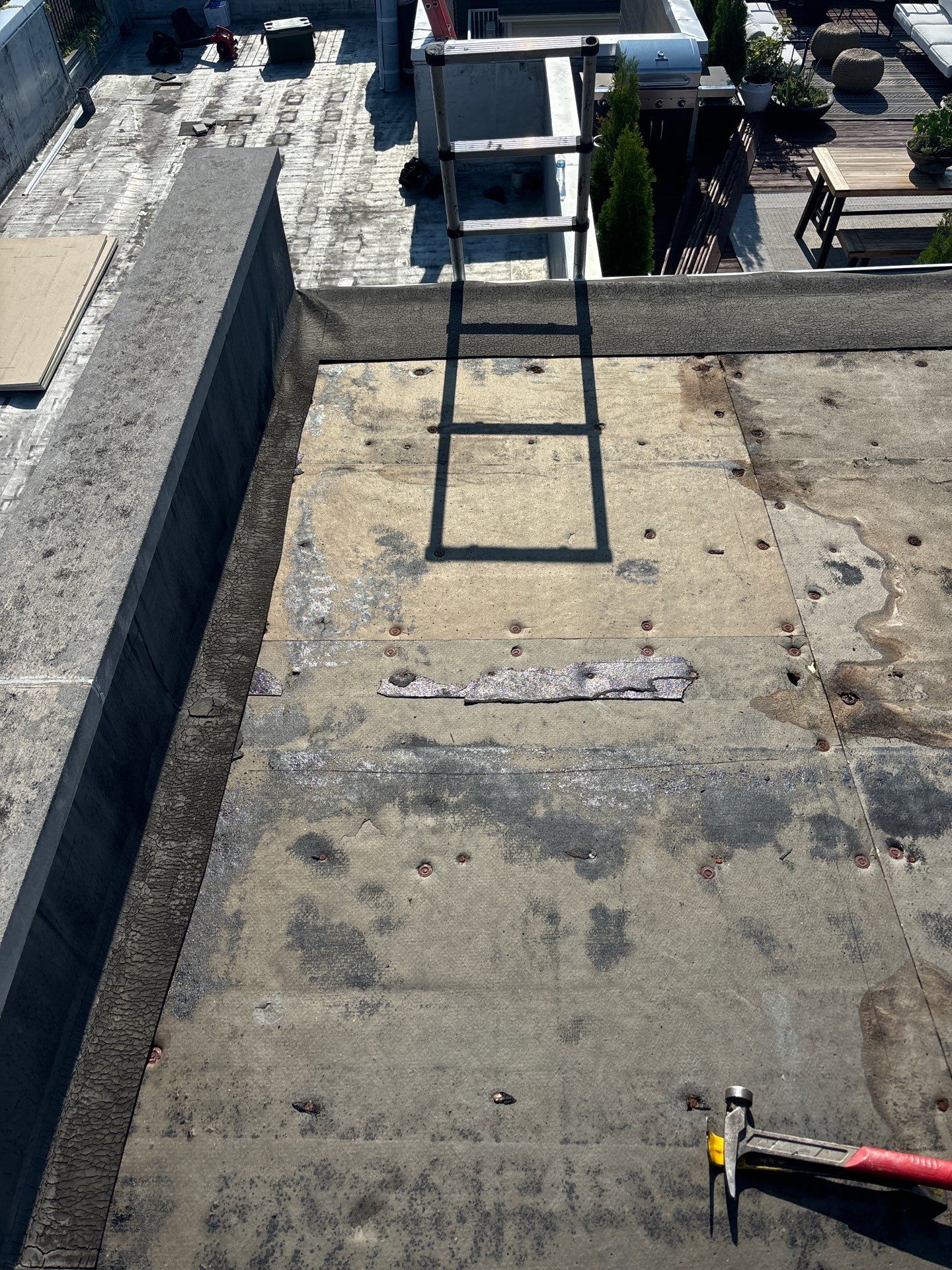 Is My Roof Asking for Help, or Am I Just Ignoring the Warning Signs?