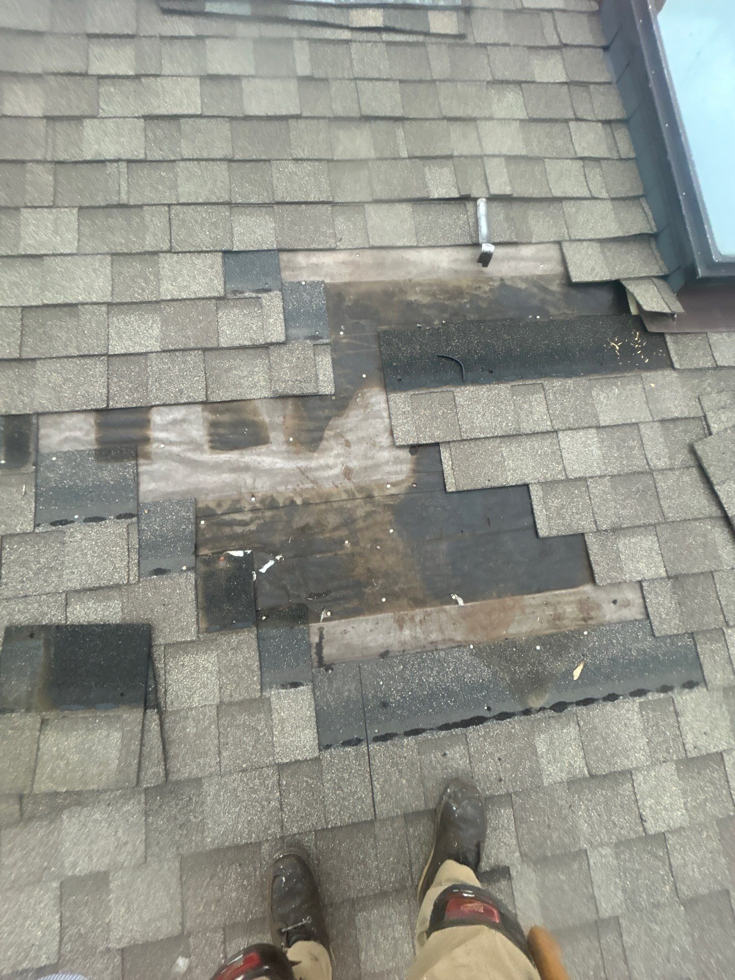 Loose Shingles on Your Chicago Roof? Here’s What You Need to Know
