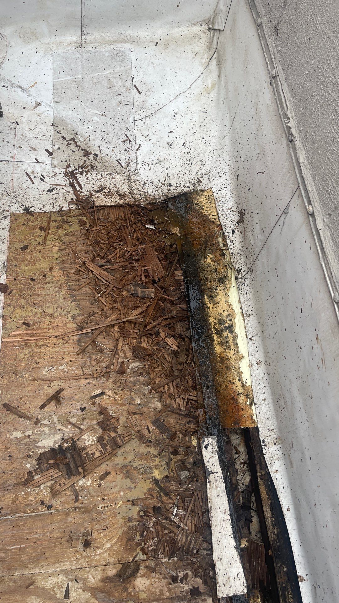 Morton Grove Homeowners: Protect Your TPO Roof from Rotten Plywood