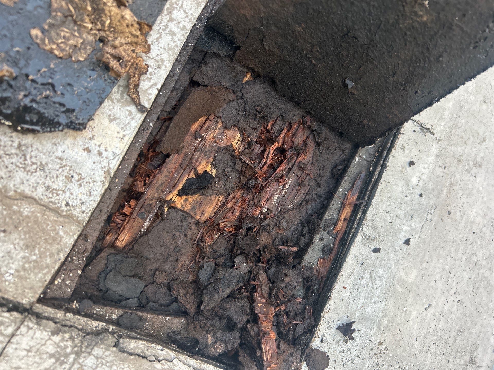 Soft Plywood on Flat Roof in Evanston: Signs of Damage & Repair Solutions