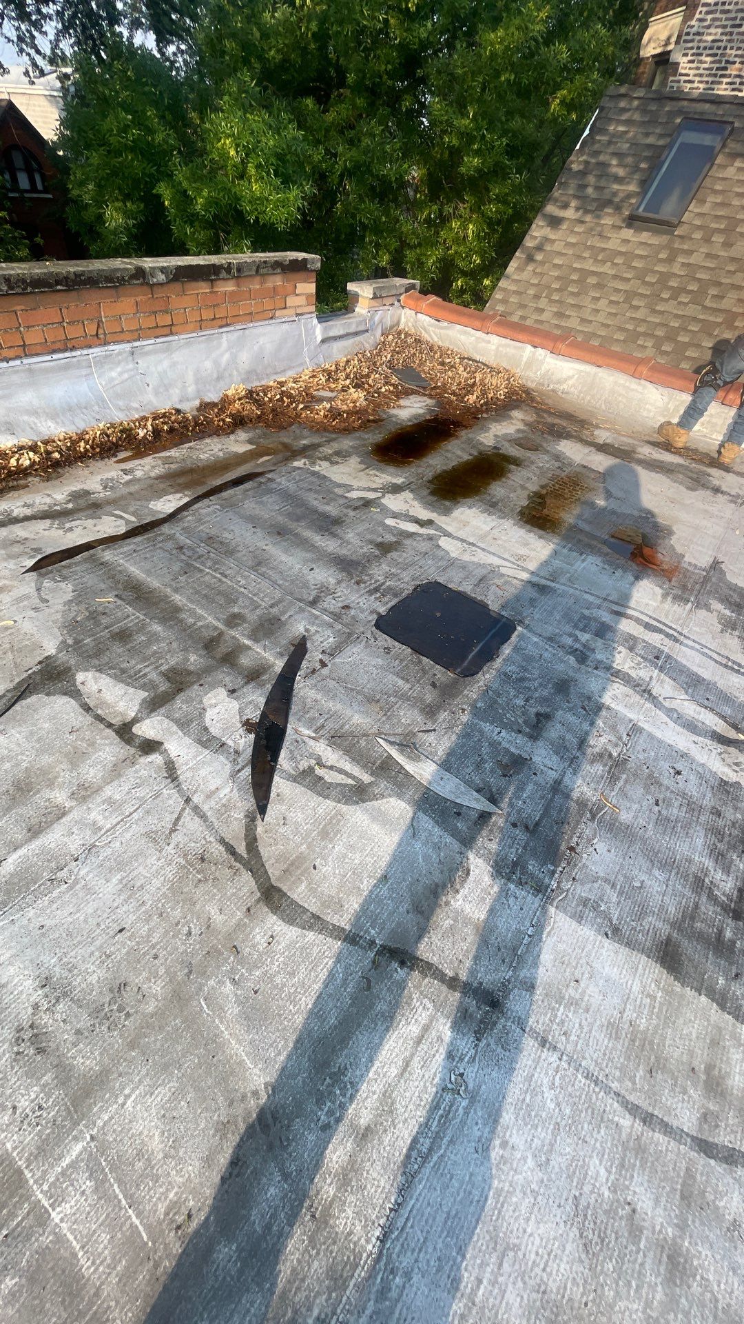 What to Do If Water Is Trapped Under a Commercial Flat Roof Membrane in Chicago