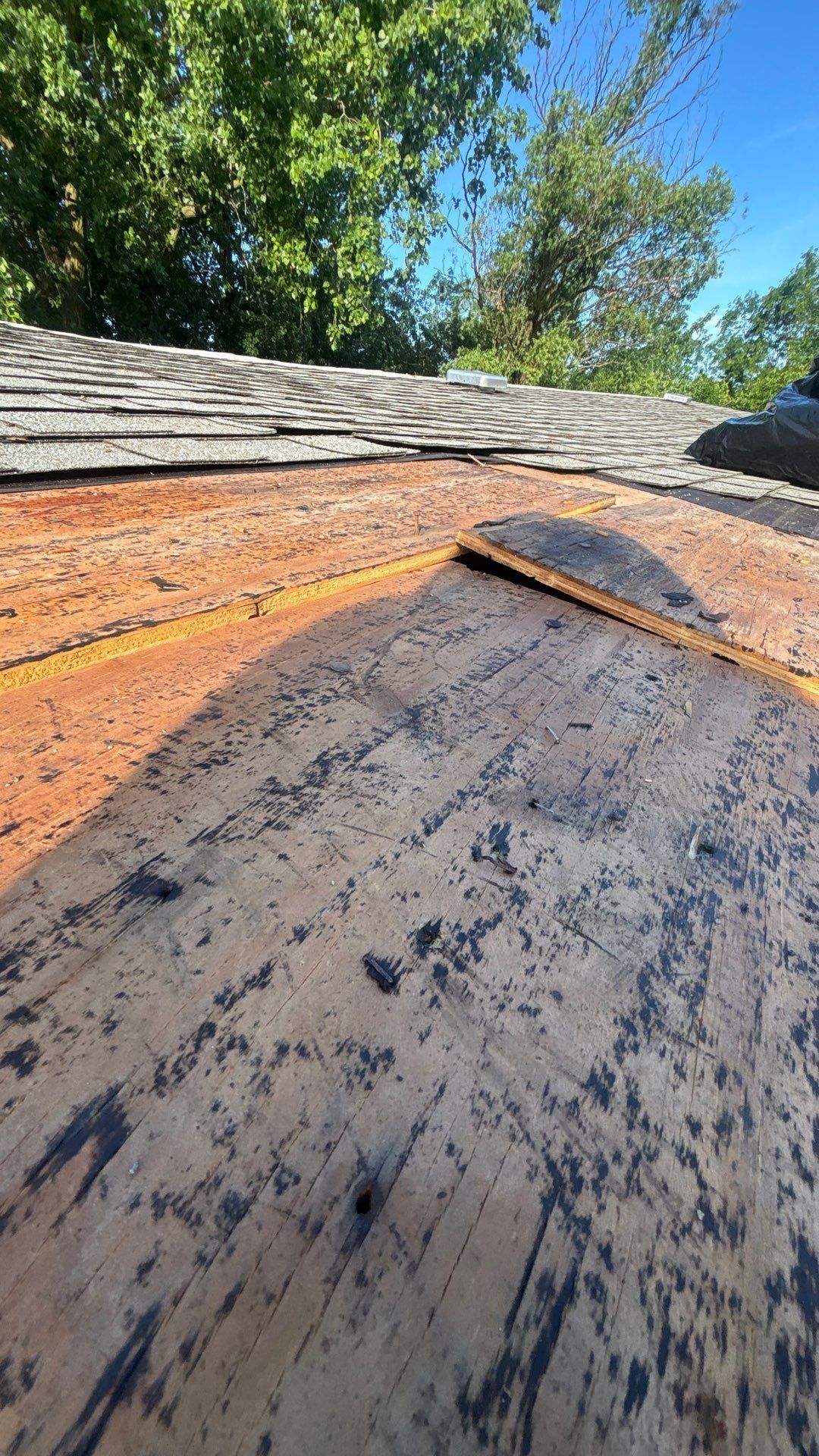Why Do My Roof Shingles Look Warped or Buckled?